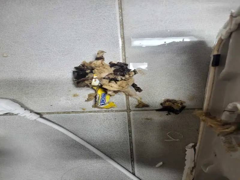 광진구 배관 이물질 제거 사례 2